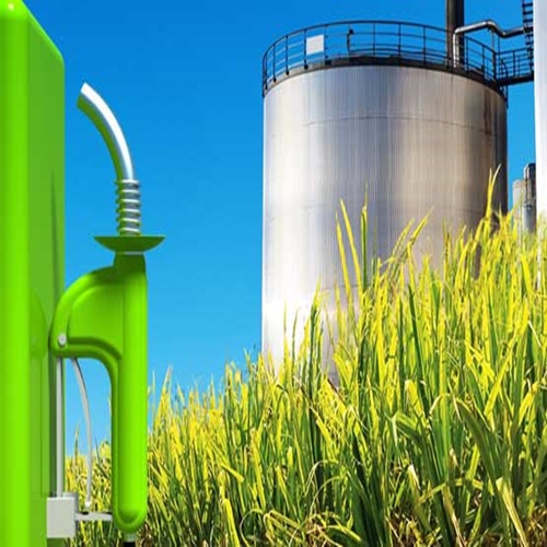 #CÁTEDRAAVÍCOLA | Se agudiza la crisis en más de 40 pymes del biodiesel // Federico Pucciarello (Titular de Rosario Bioenergy)