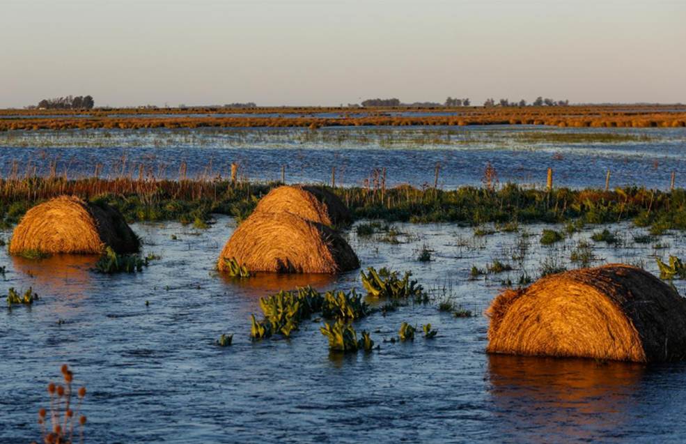 Las inundaciones en provincia de Buenos Aires complican al campo