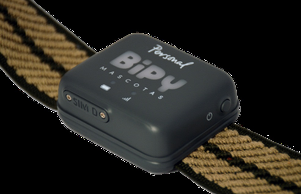 Bipy, el collar GPS de mascotas con conexión 4G de Personal