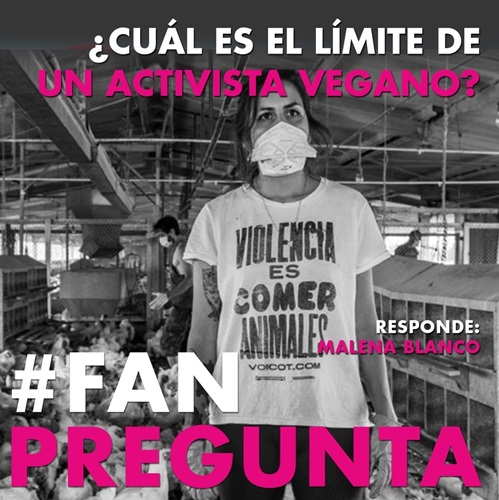 #FAN | ¿Cuál es el límite de un activista vegano? Responde Malena Blanco, fundadora de Voicot