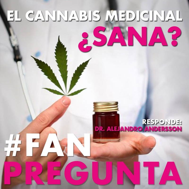 #FAN | El cannabis medicinal ¿sana? Responde el Dr. Alejandro Andersson