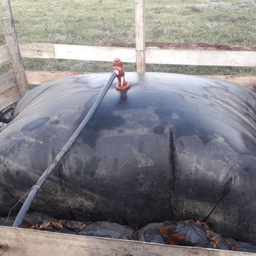 #CatedraAvicola | Empresa argentina crea biogás desde los desechos orgánicos