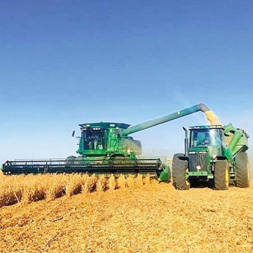 #AgroVA | No se descarta récord en la cosecha de soja (Bolsa de Cereales Bs As)